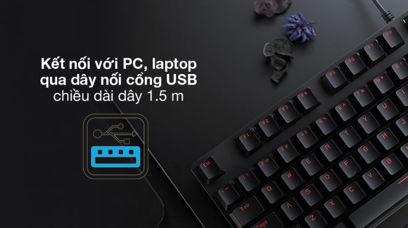 RAPOO V50S BLACK 5 co co day gaming rapoo v500alloy den 6 1