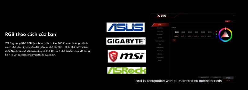 ADATA XPG SPECTRIX D50 8GB DDR4 3200 RGB 4 de dang chinh rgb